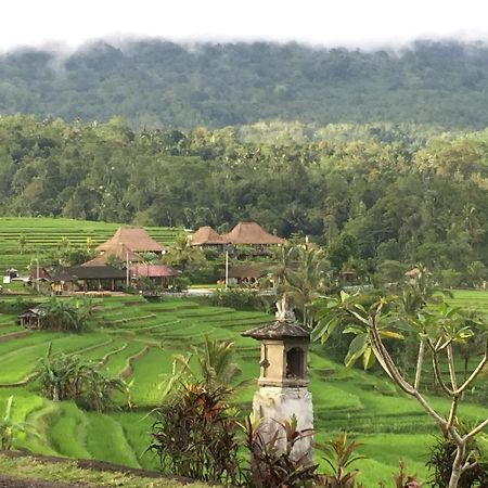 אובוד The Hidden Bali Inn מראה חיצוני תמונה